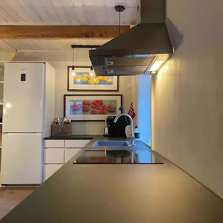 Villa Unique Experience In Oslo's Heart